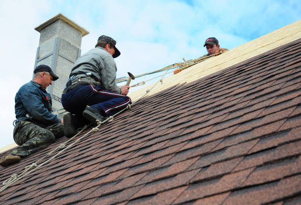 Professional Roofing Contractor in Niagara University, NY