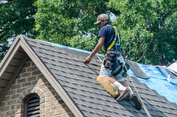 Best Emergency Roof Repair  in Niagara University, NY